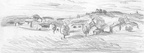 Les monts du Forez