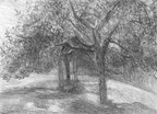 Les arbres