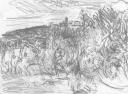 Les monts du Forez